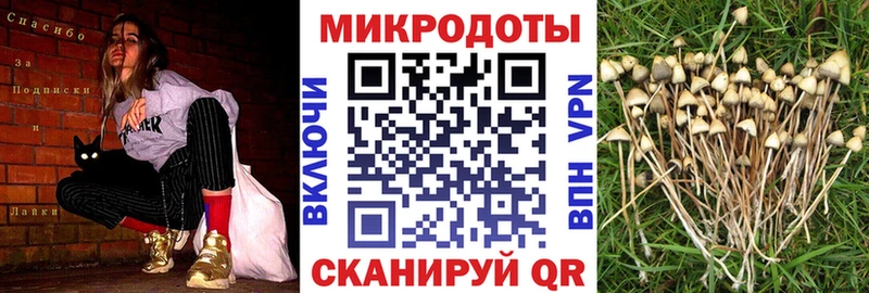 shop как зайти МЕГА маркетплейс Чкаловск Псилоцибиновые грибы прущие грибы